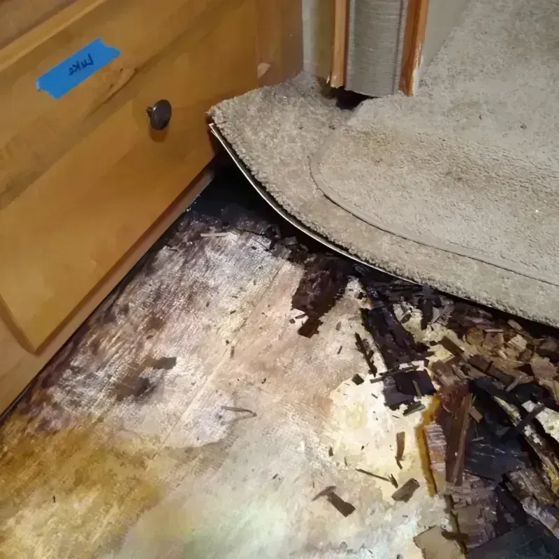 Best Wood Floor Water Damage Service in Tipton County, IN